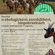 foto foto